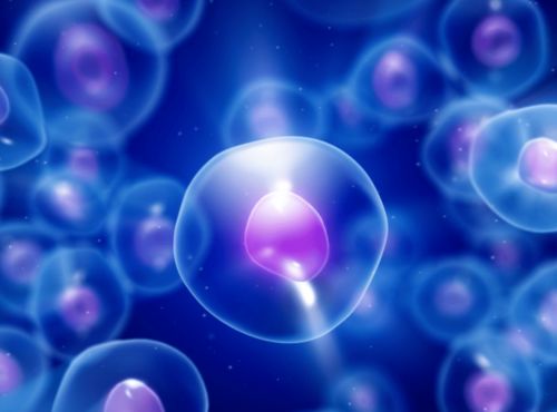 中國(guó)空間站航天員首次出艙 2100年海平面或?qū)⑸仙幻棕萍荚缧侣? />
</a>
<span><a href=