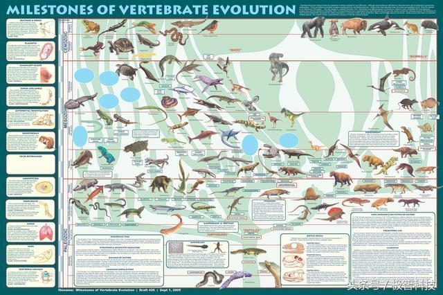 生物進(jìn)化理論為何可以用在飛行器的優(yōu)化設(shè)計中?讀完就懂