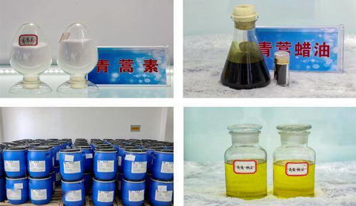 天源醫(yī)藥集團(tuán)