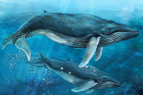 向孩子那樣感受，愛(ài)是望向世界的眼睛