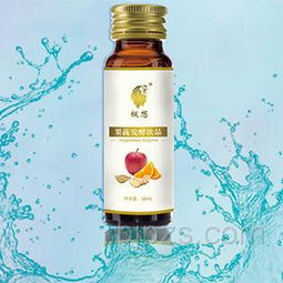 善德生物科技 以果蔬發酵飲品為媒，誠邀上海伙伴共拓健康藍海