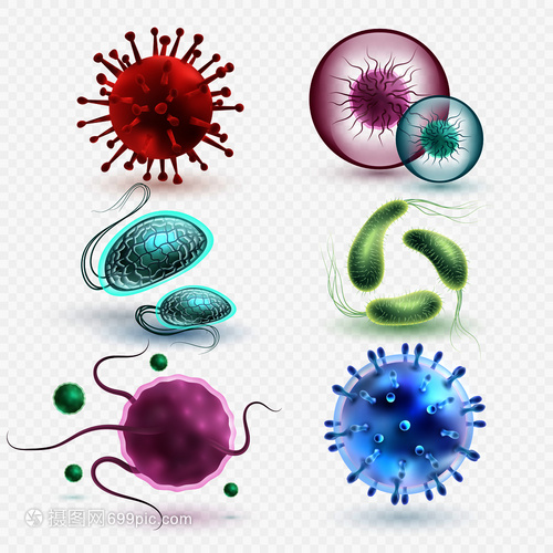 3D現(xiàn)實(shí)中的微生物與細(xì)菌 隔離、媒集與微觀世界的探索